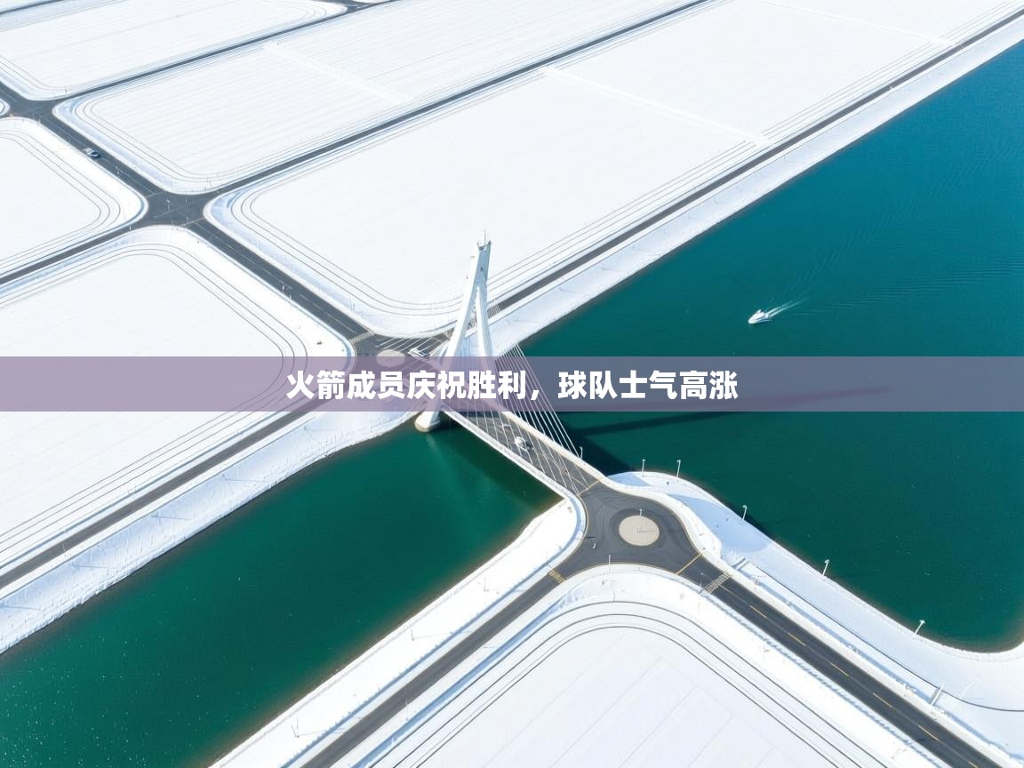 火箭成员庆祝胜利，球队士气高涨  第2张