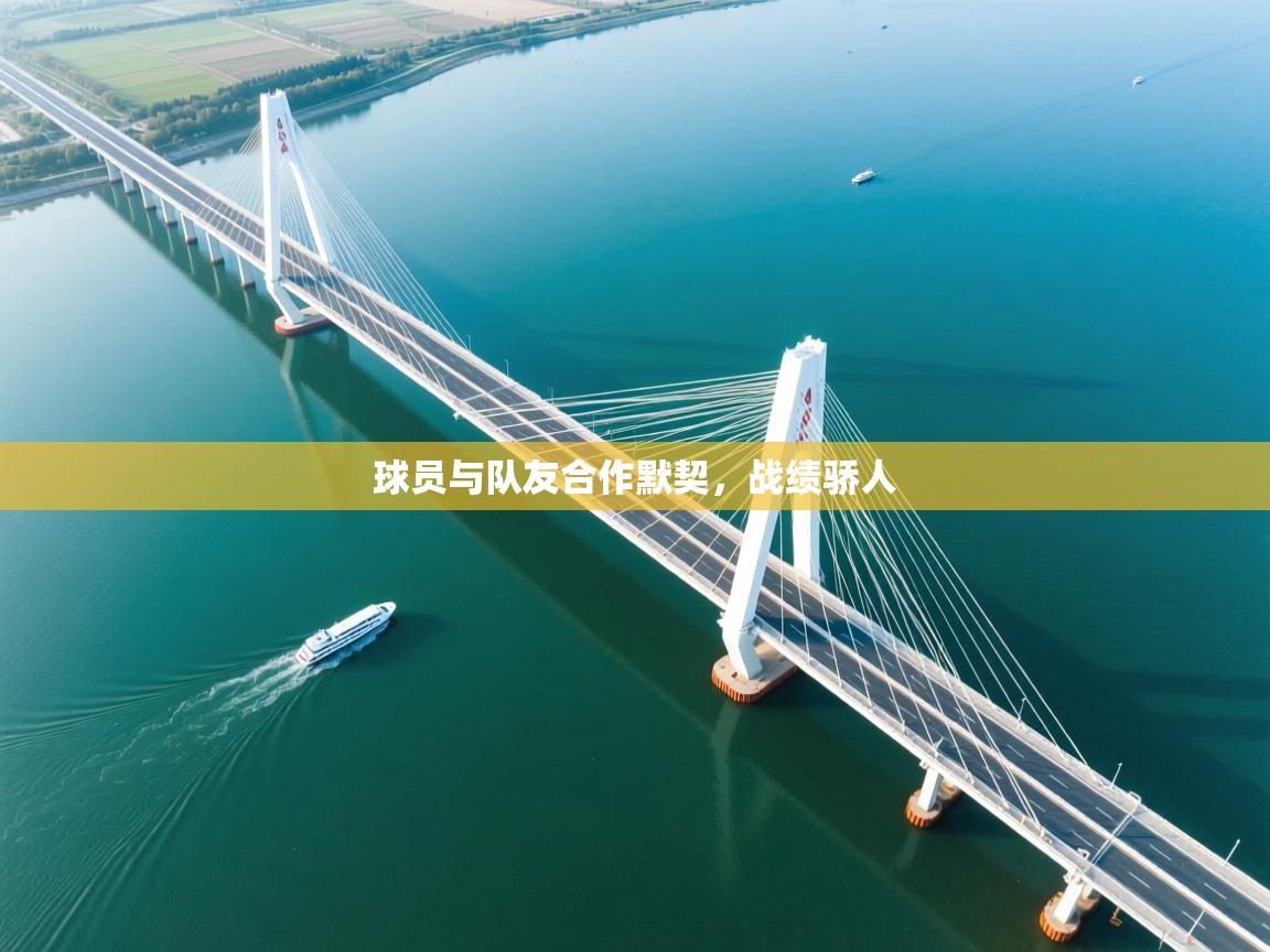 球员与队友合作默契，战绩骄人  第2张