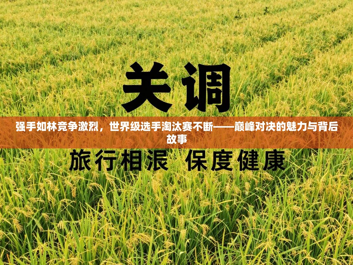 强手如林竞争激烈，世界级选手淘汰赛不断——巅峰对决的魅力与背后故事  第2张